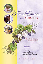 flower-essences-for-animals