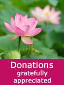 DonationLotusS