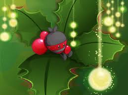 holly berry