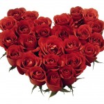 Valentine's Day rose heart