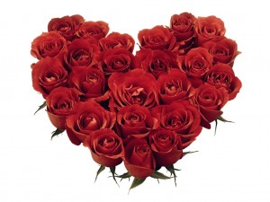 Valentine's Day rose heart